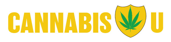 Wanna learn about CannaBiz? This is the place to start.