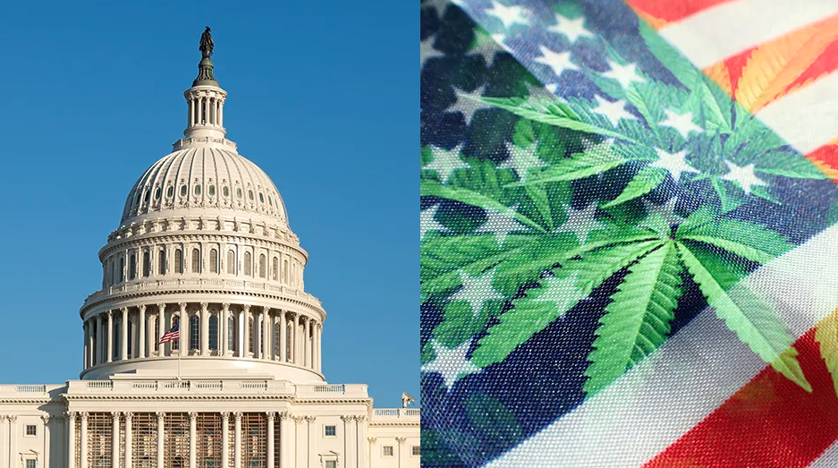 A GOP-Controlled Congressional Committee Moves To Block Marijuana Rescheduling