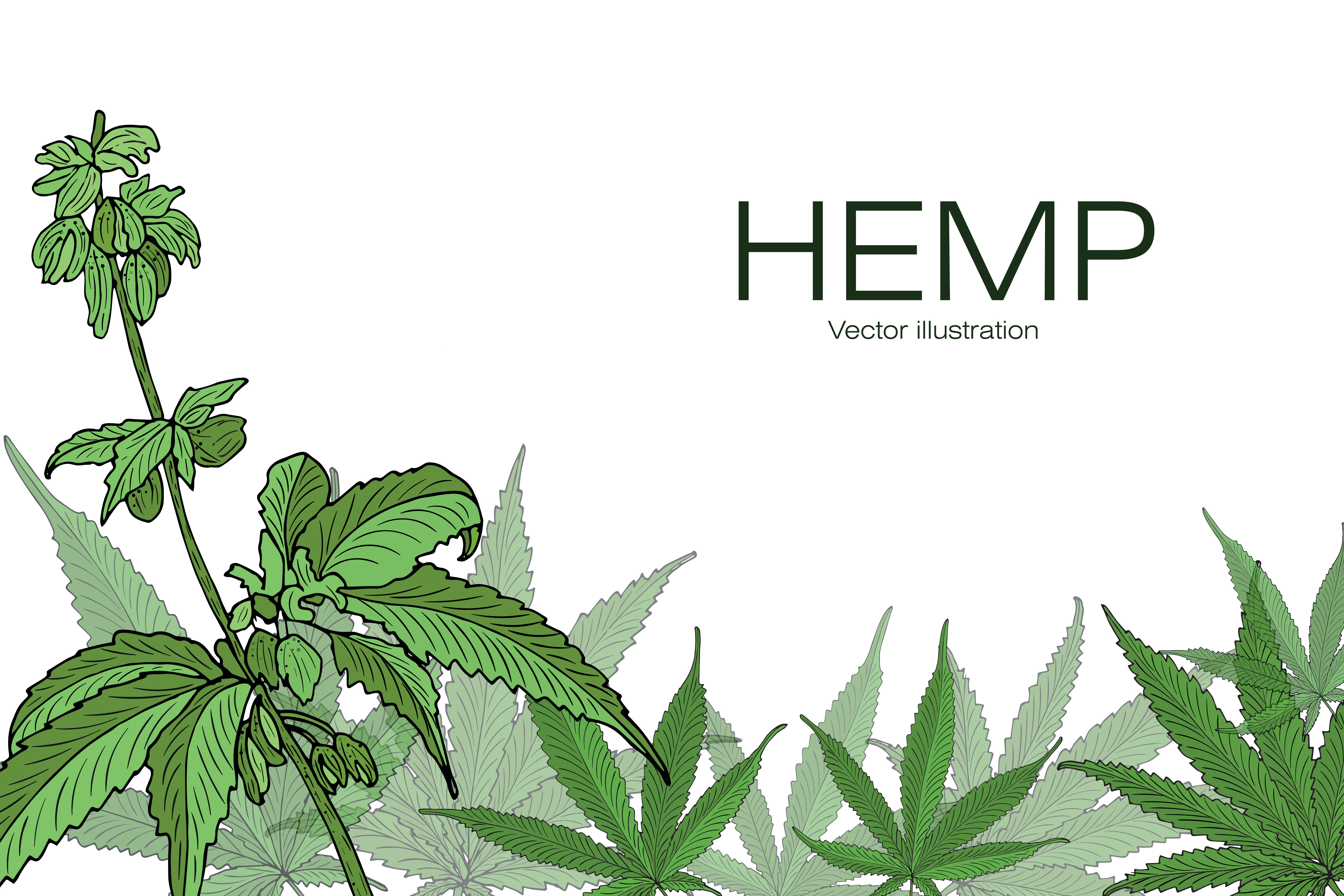 Federal Spending Bill Includes Provisions to Prohibit Hemp-Derived THC Products